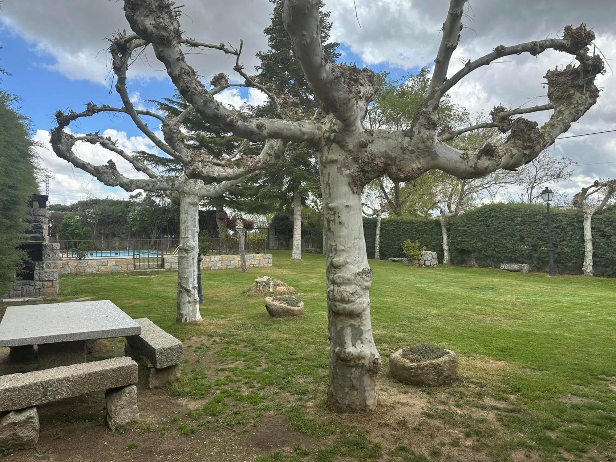 Casa Rural El Cordel La Serrada 外观 照片